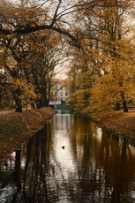 фотография из портфолио